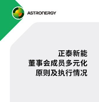 AG尊龙董事会成员多元化原则及执行情况